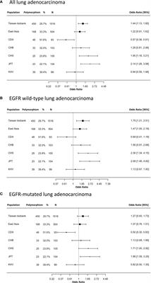 EGFR Q787Q Polymorphism Is a Germline Variant and a Prognostic Factor for Lung Cancer Treated With TKIs